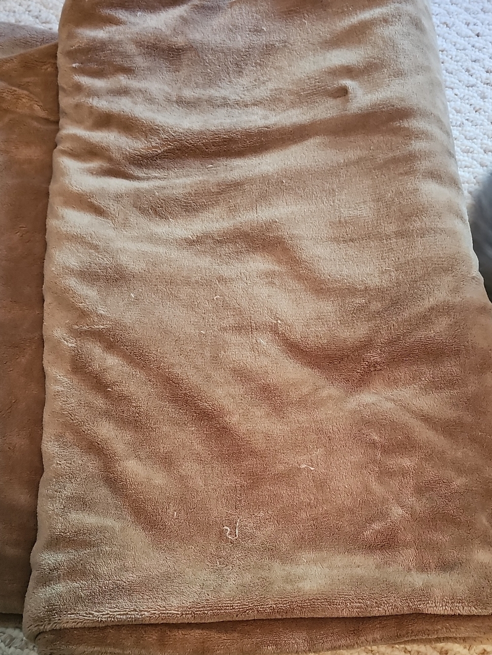 Sunbeam Electric Plush Microfiber Throw Blanket - Camel Brown